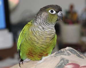 IMG_1088 - Version 2