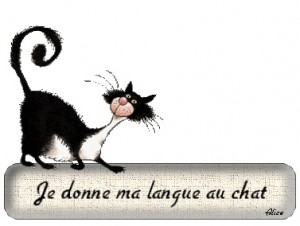 langue au chat